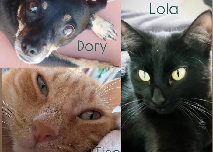 Tutto Passa Lloret *