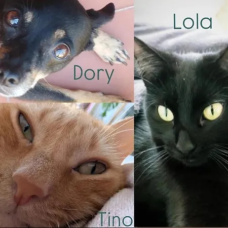 Tutto Passa Lloret *