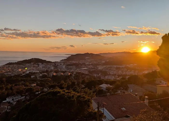 Tutto Passa Lloret イン